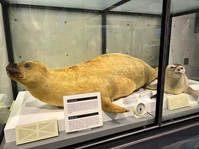 Polar Science Museum