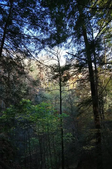 Clear Creek State Park