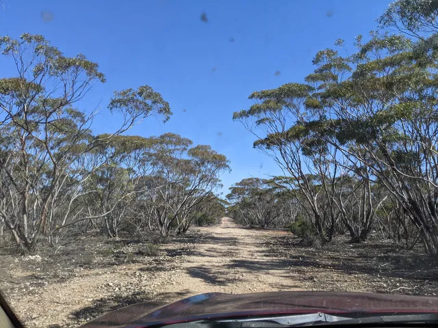 Yookamurra Sanctuary