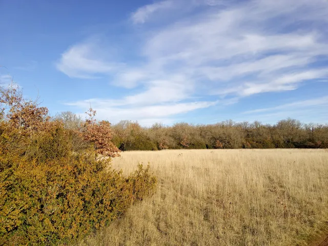 Réserve Naturelle des Vallées de la Grand Pierre et de Vitain