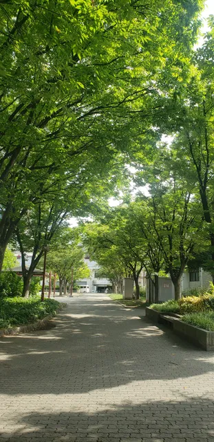 Nakatsu Central Park