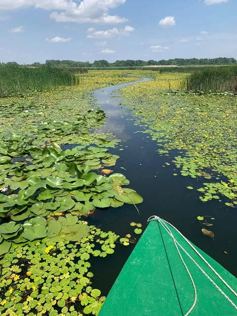 Lake Tisza water tour