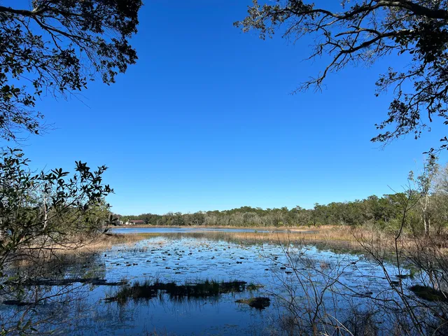 Violet Cury Preserve