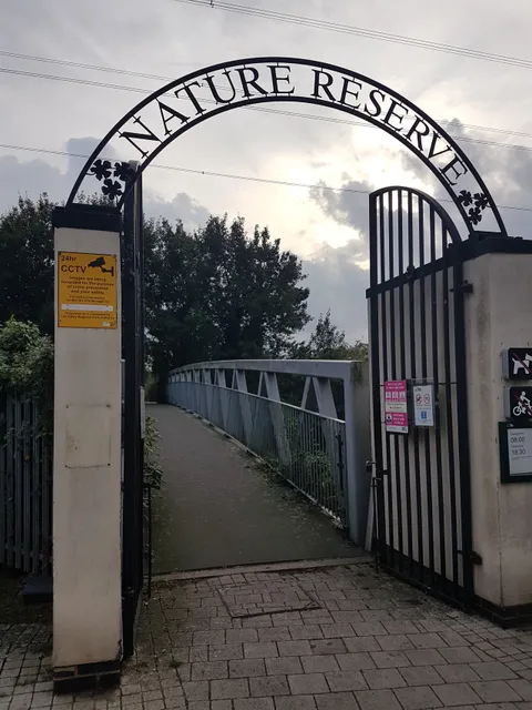 photo-1