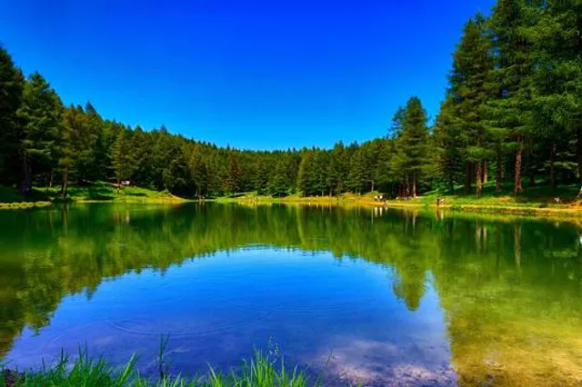 Adventure Park Cimone