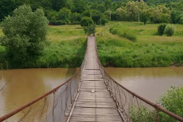 Shadyside Memorial Park Chinese Gardens