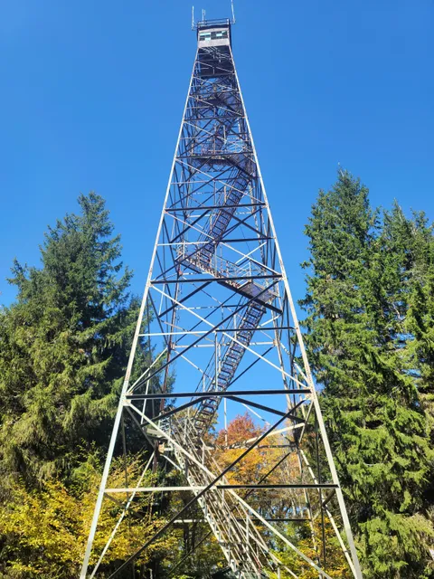 Olson Observation Tower