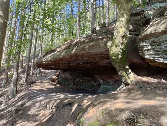 Wasser-, Wald- und Wiesen-Pfad