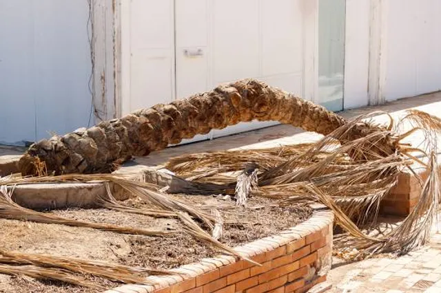 Burgfalknerei Hohenbeilstein