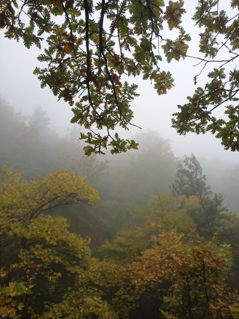 Kamena Vourla Municipality