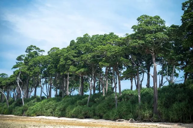 Sunset Point, Lakshmanpur Beach 1