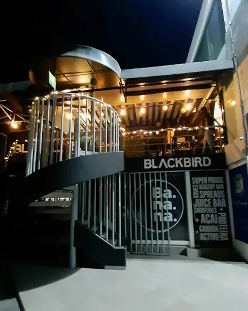 Blackbird Coffee Shop