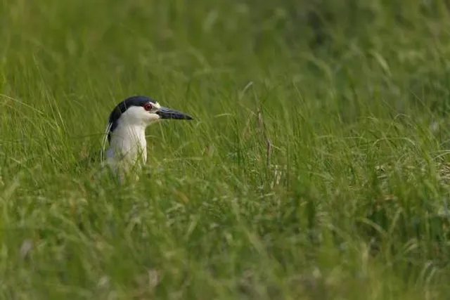Marine Nature Study Area