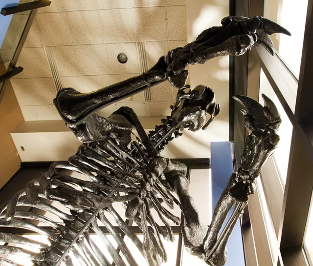 Cape Fear Museum of History and Science