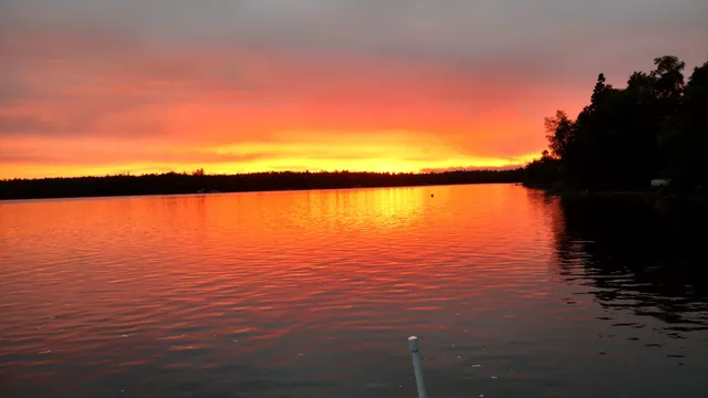 Lake of the Woods Township