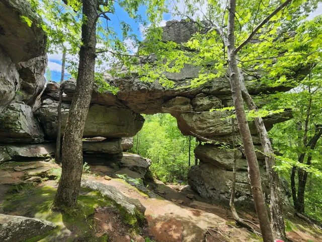 Seven Hollows Trailhead