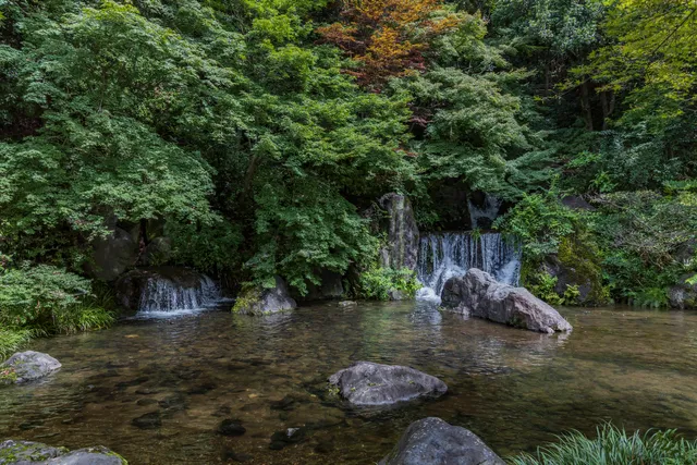 Falls in Filtered Sun Light