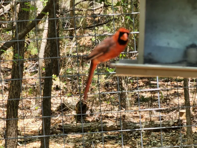Abilene State Park Headquarters