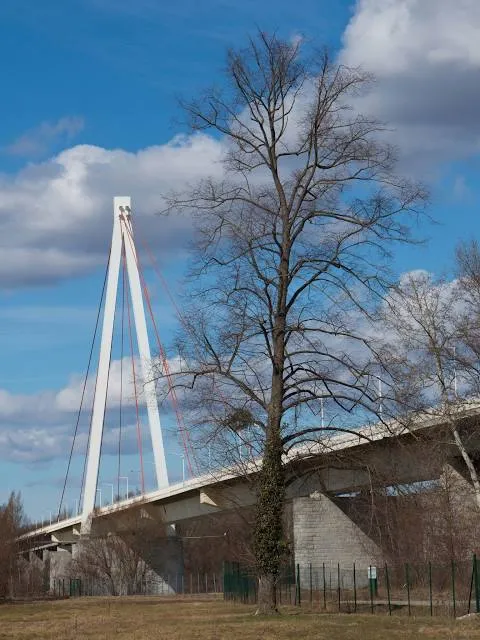 Andreas Maurer Bridge