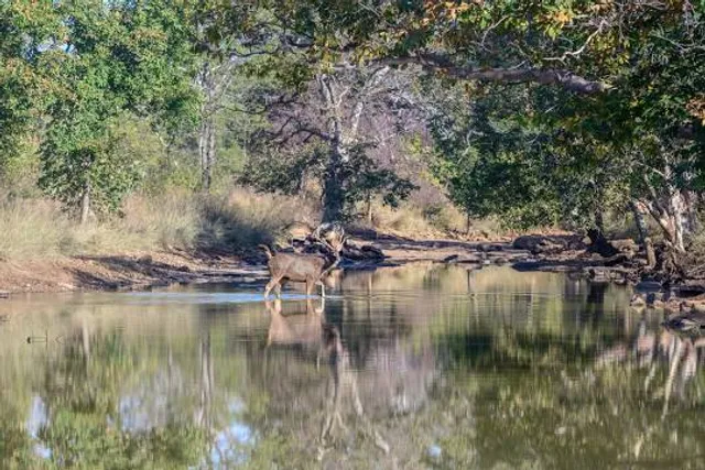 Panna Tiger Reserve Entry Gate