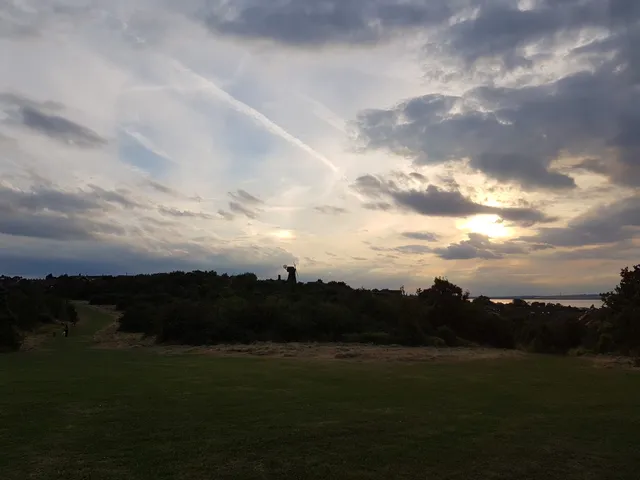 photo-1
