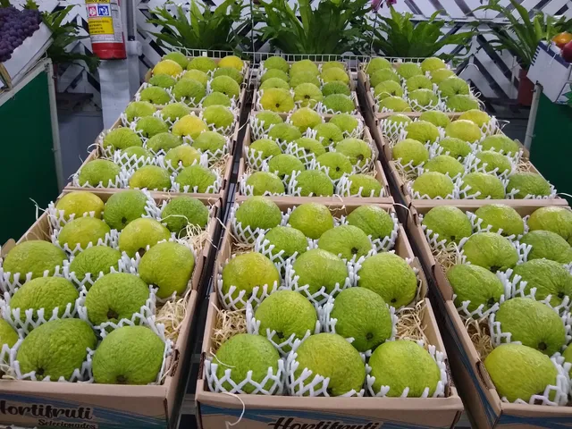 Parque Monsenhor Bruno Nardini