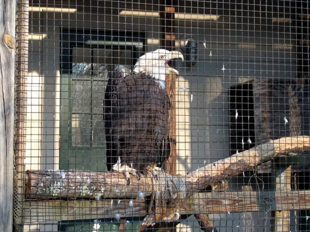 New Canaan Nature Center