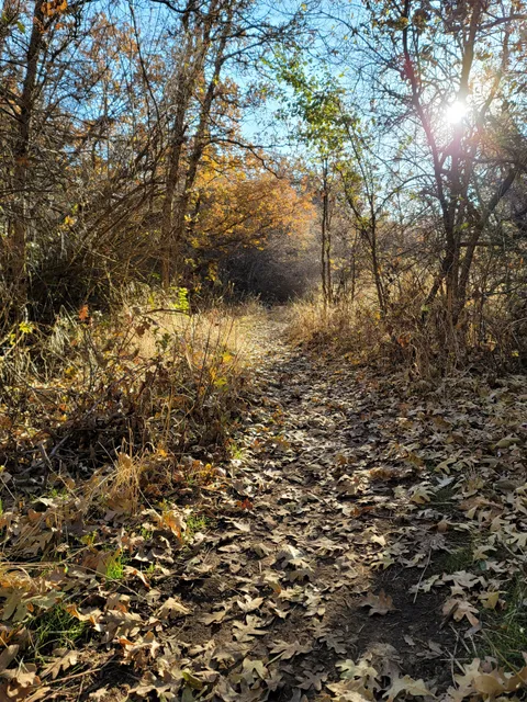 Wasatch Hollow Preserve