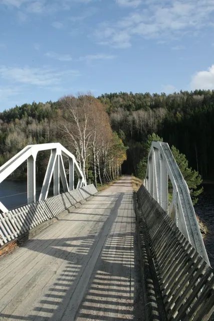 photo-1