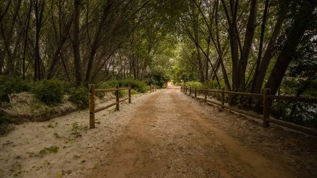 The Enchanted Forest, Pitlochry