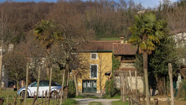 Az.Agr. Kitzmuller Thomas