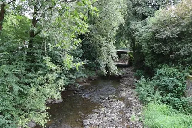 photo-2