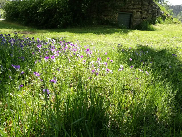 Vårgårda hembygdsförening