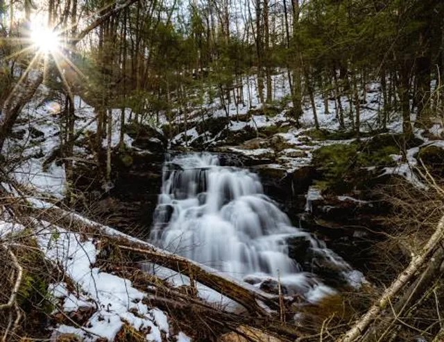 Plunketts Creek Township