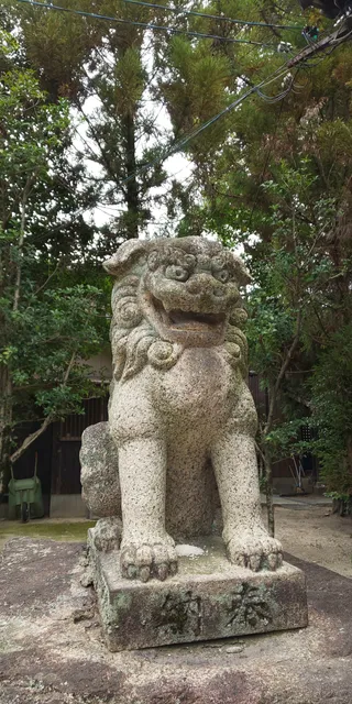 photo-1