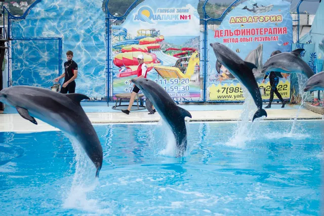 Teatr Morskikh Zhivotnykh "Akvatoriya", Yalta
