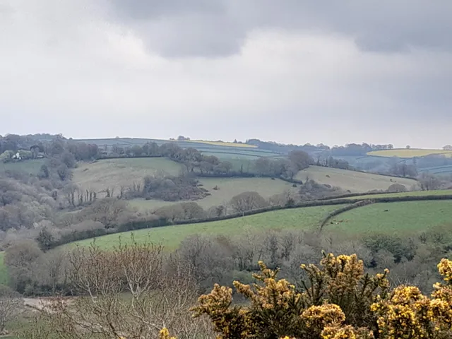 Cadson Bury Hill Fort - National Trust