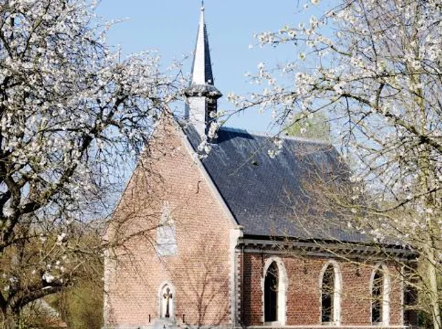 photo-3