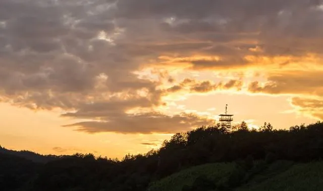 Prinzenkopf observation tower