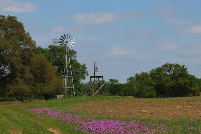 Tenterfield Shire Council