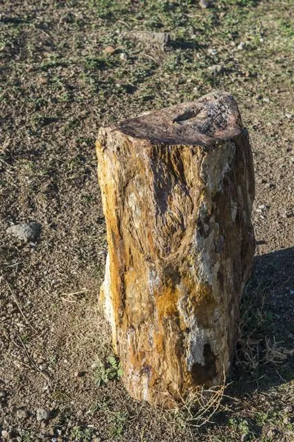 Cherokee Heritage Center