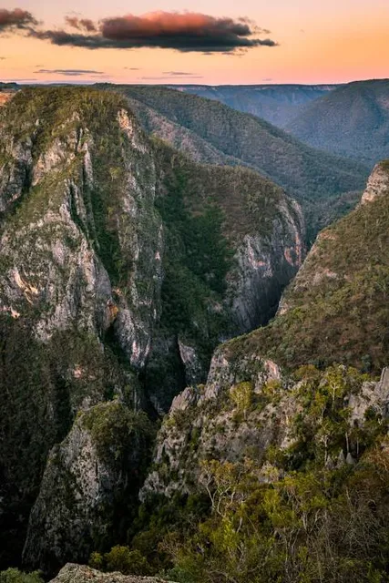 Bungonia National Park