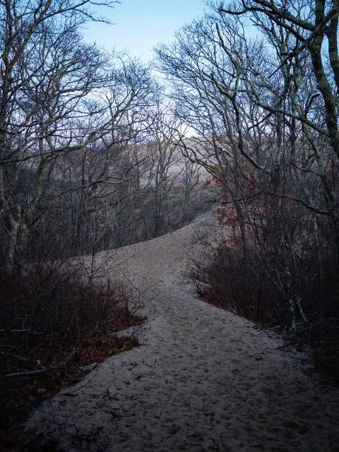 Dune Shacks Trail