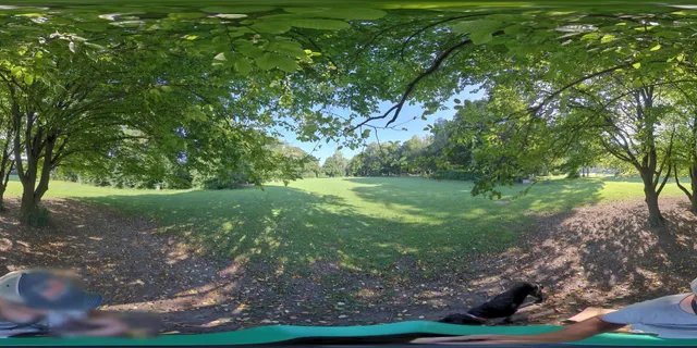 Barbecue Zone Siebentischwald