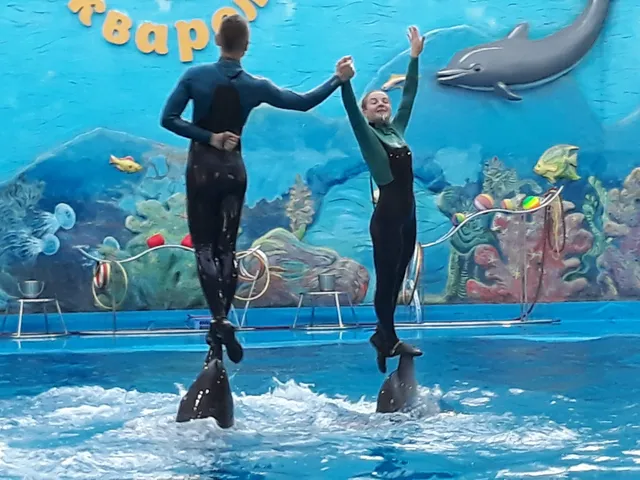 Del'finariy "Akvarel'"