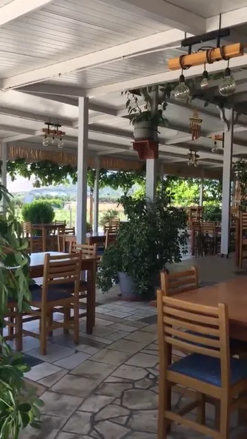 DIDIMOI TWINS ZWILLING