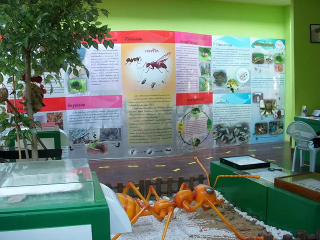 Ant Museum