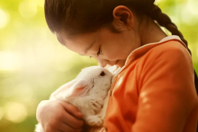 アニマル・フレンズ