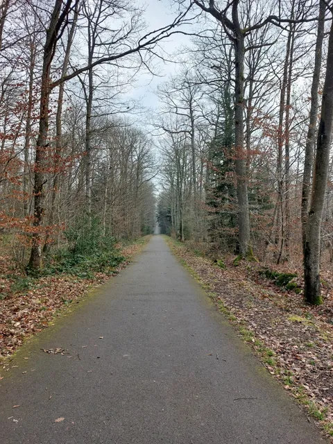 Voie verte des Bois Francs
