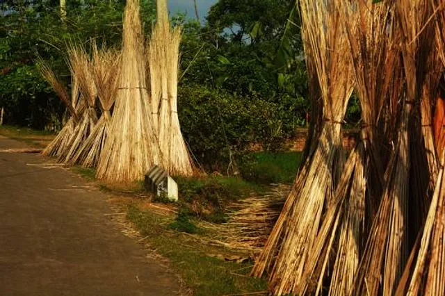 Tiszakécskei Nádirigó Tanösvény